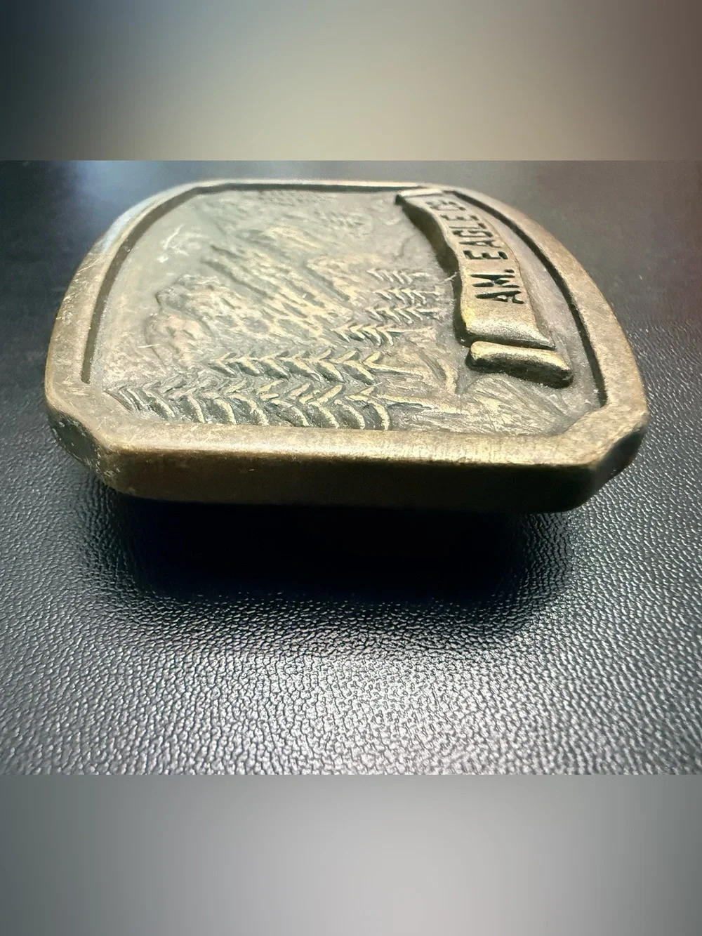 Vintage AM. EAGLE CO. Solid Brass Wilderness Belt Buckle